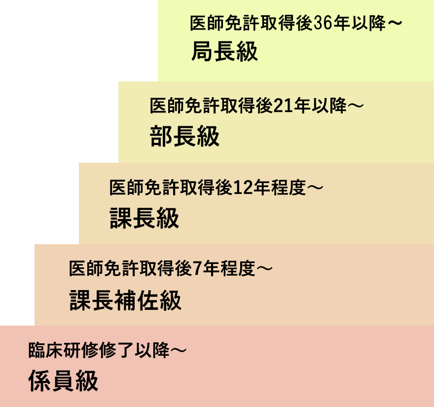 career-2